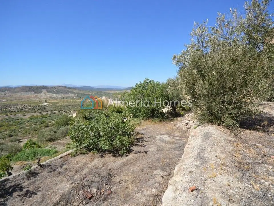 Almeria Homes photo 5