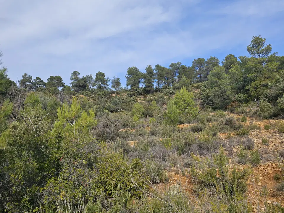 Finca in Cretas, Teruel province photo 4