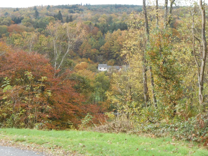 Pretty Renovated Farmhouse with Countryside Views photo 2