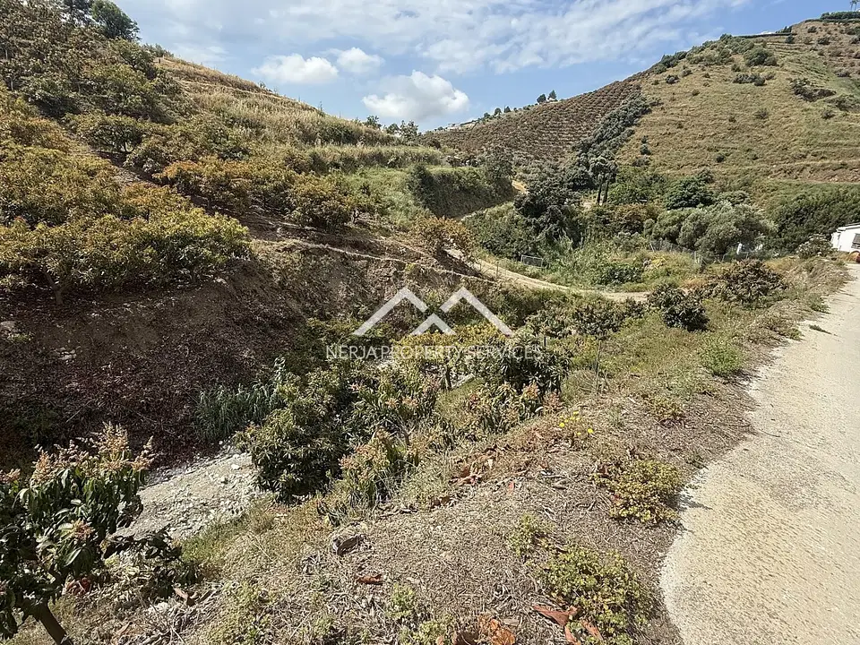 Nerja Property Services