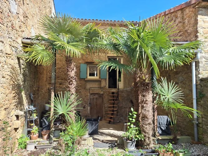 Cocooning Village House
