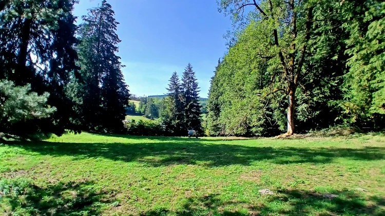 Charming Country House with 128 M2 of Living Space and Several Outbuildings Set on a Magnificent 5676 M2 Plot in a Green… photo 2
