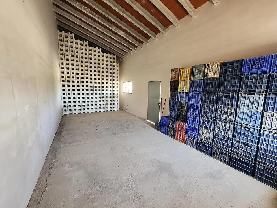 Alicante Dream Property  photo 4