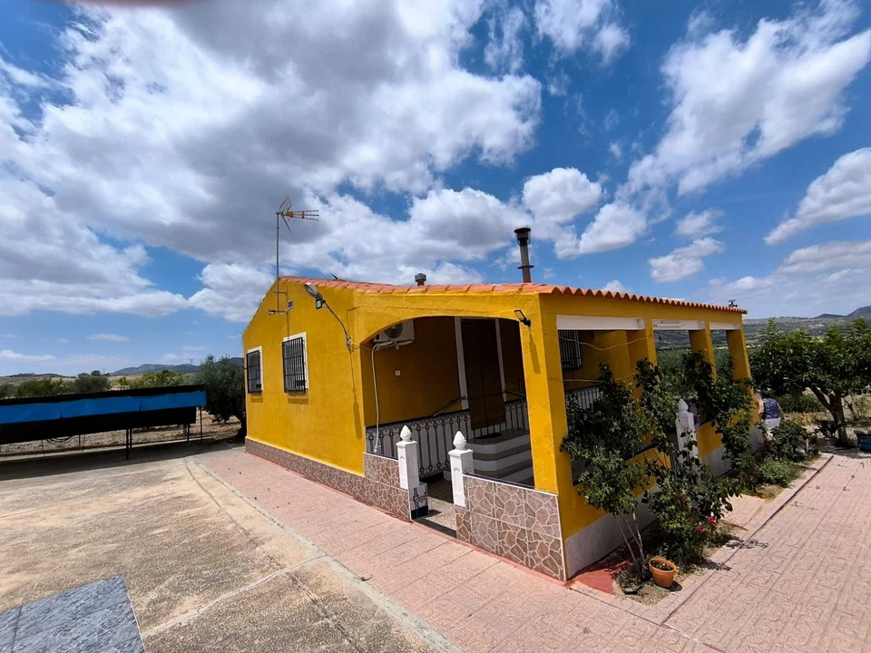 Stratus International Properties photo 2