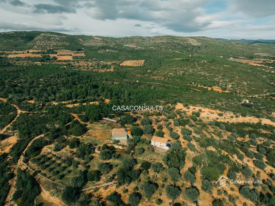 Country house in Les Useras, Castellon photo 4