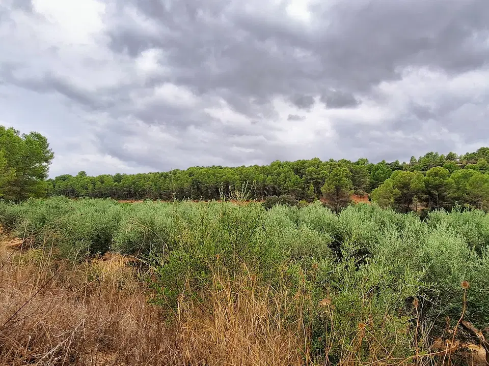 Finca in Ginestar, Tarragona province photo 5