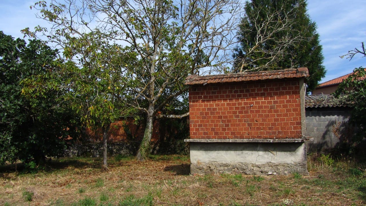 Finca/Country House for sale in Sober, Lugo photo 4