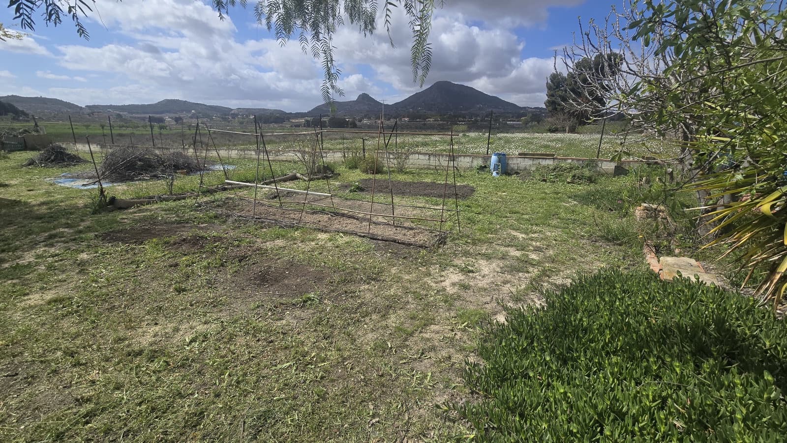 Finca/Country House for sale in Sax, Alicante photo 5