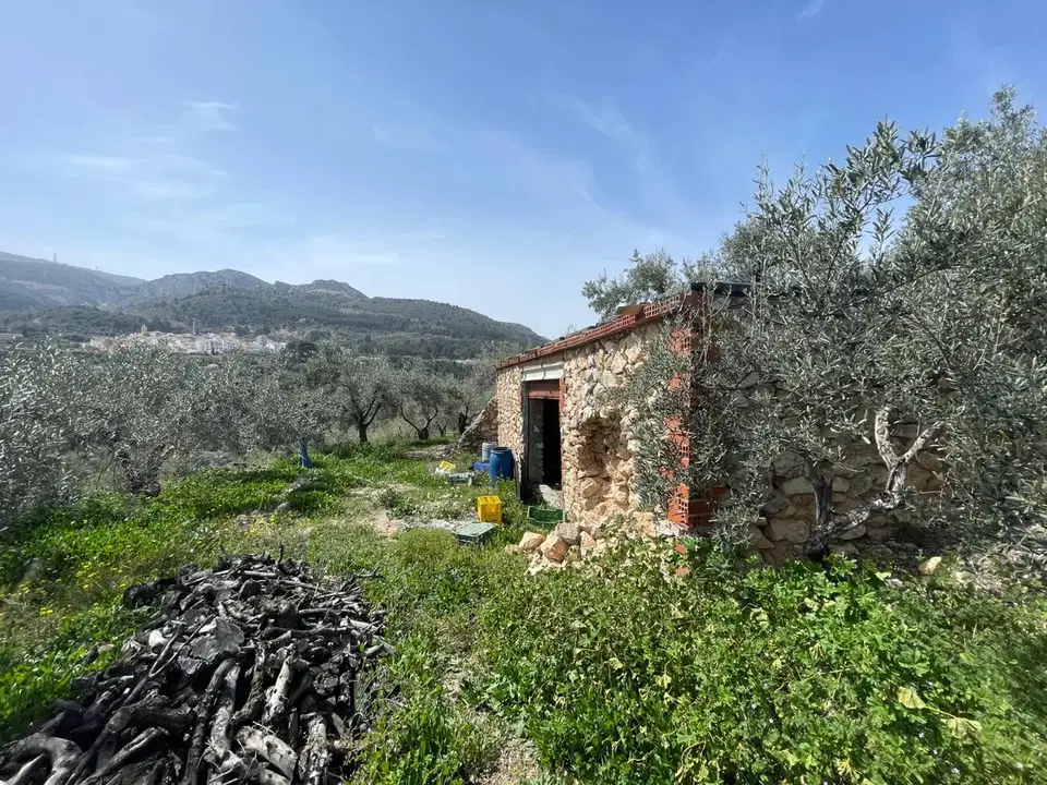 Ideal Costa Blanca