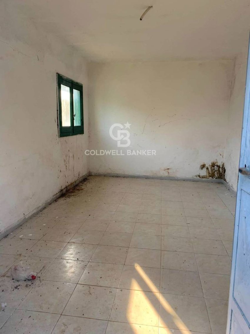 1 bedroom country house, 26 m² Mesagne, Brindisi (province) Salento photo 3