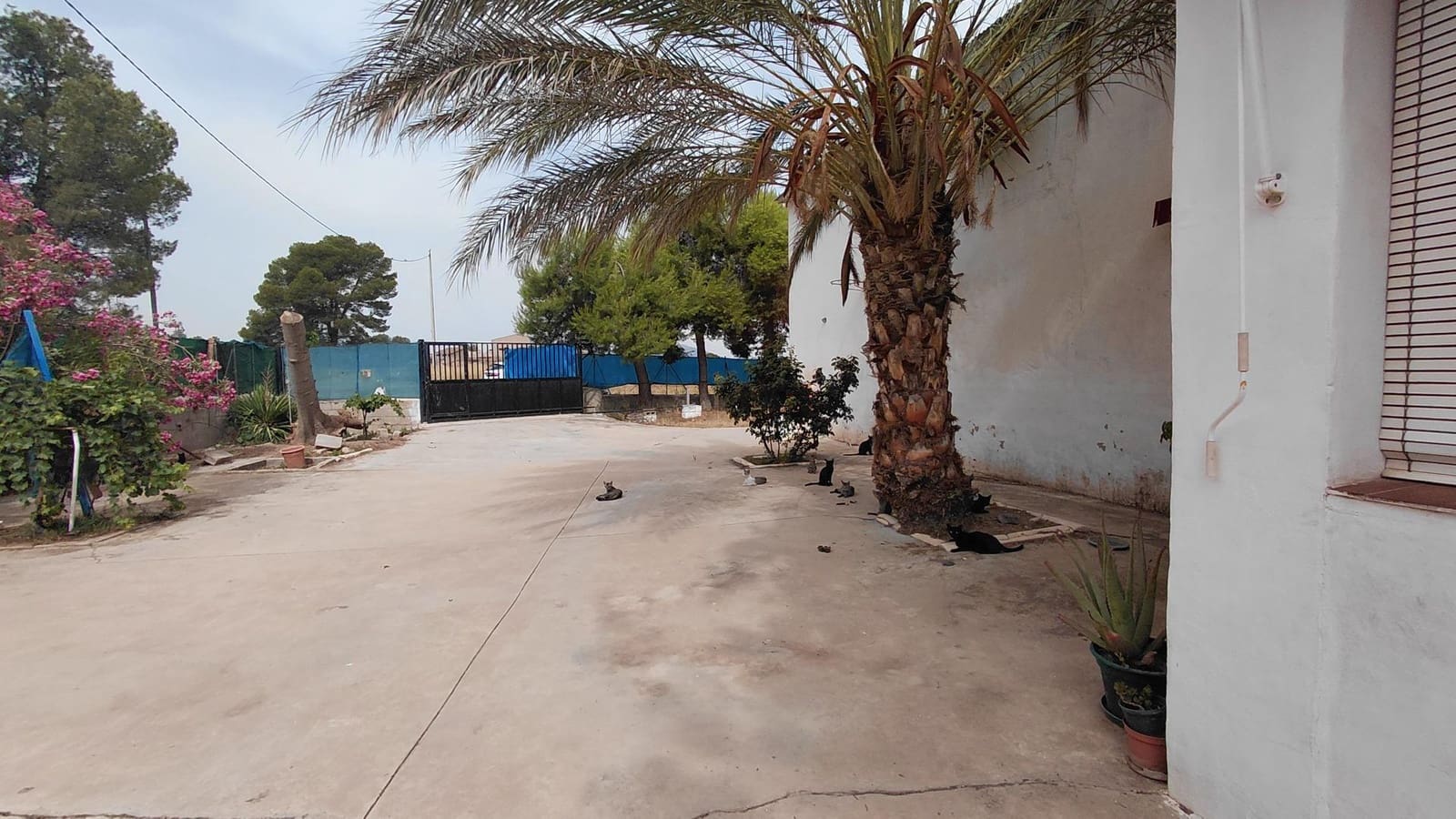Finca/Country House for sale in Villena, Alicante photo 2