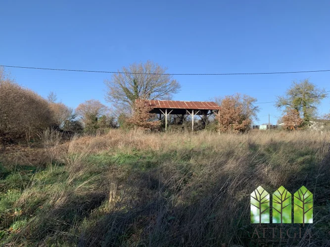 2-Bedroom Country House with Outbuildings, Orchard & Land photo 4