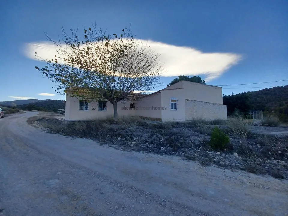 Alicante Dream Property  photo 5