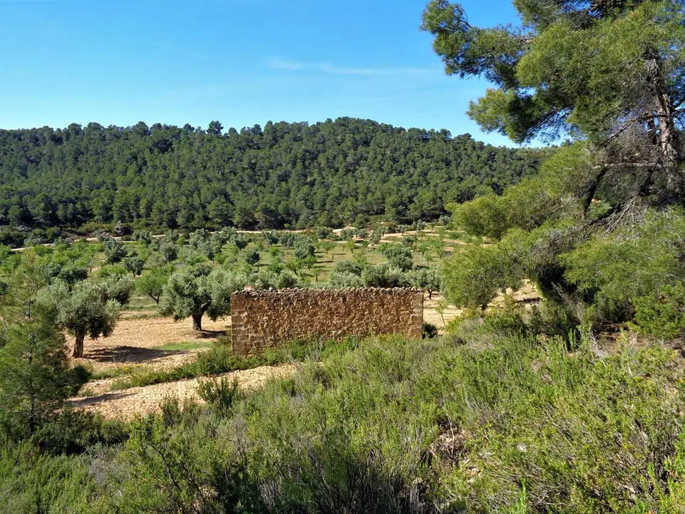Finca in Maella, Zaragoza province