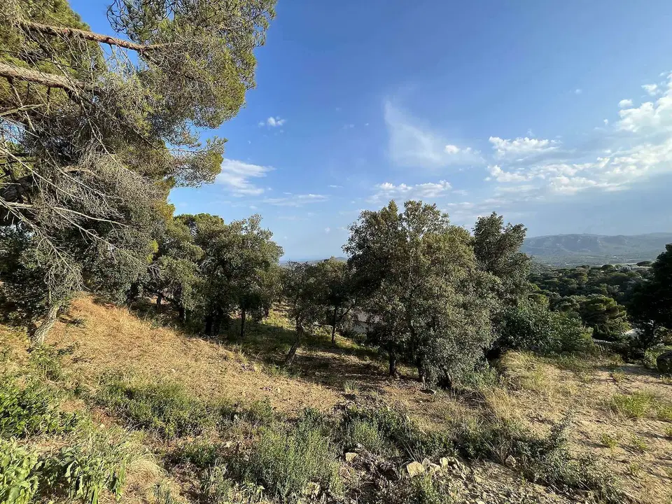Costa Brava Fincas SL photo 5