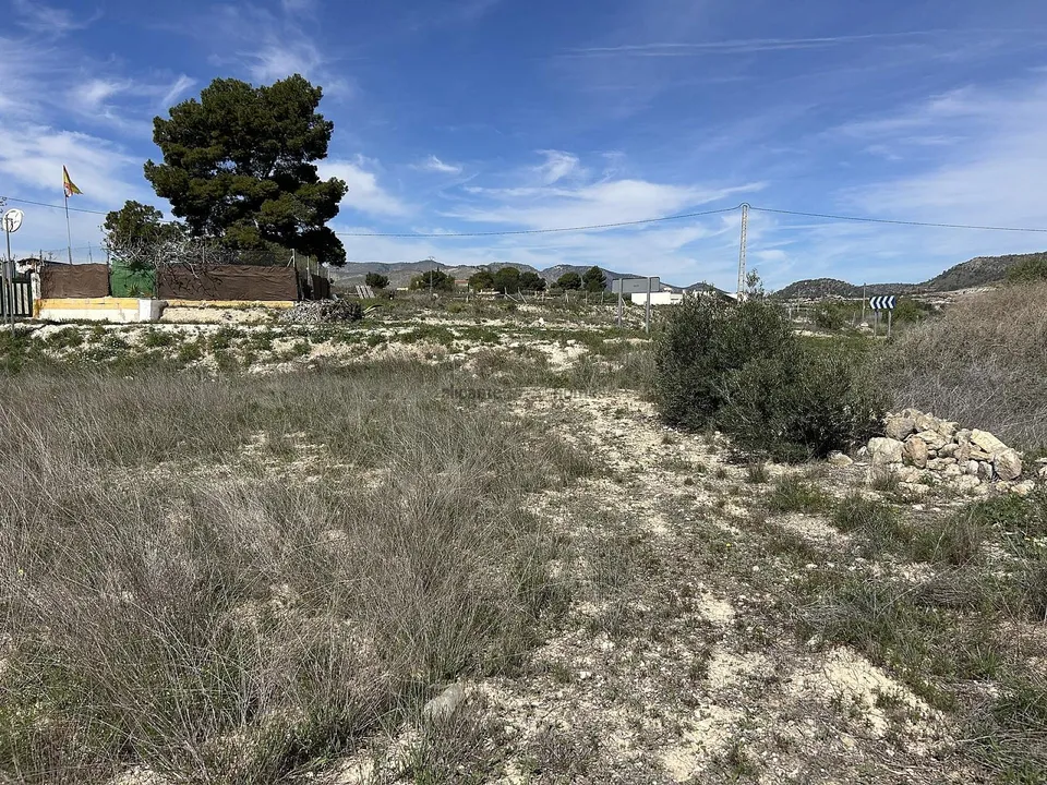 Alicante Dream Property  photo 3