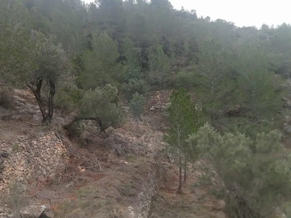 Catalancasas photo 5