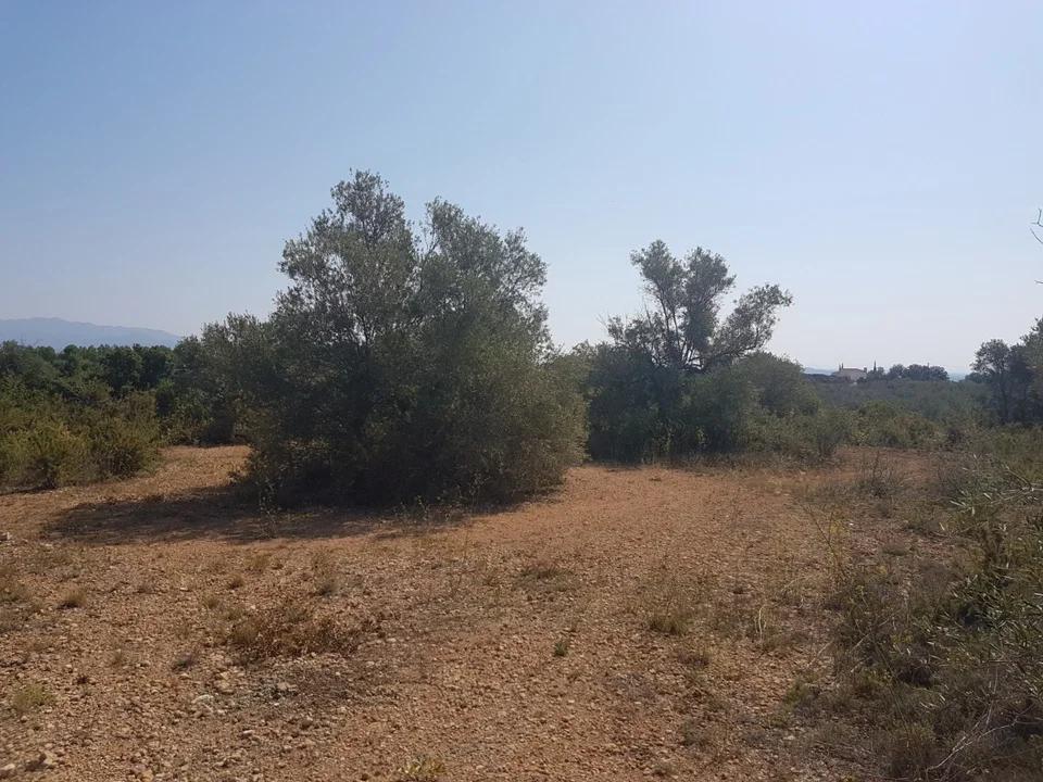 Country house in Sant Jordi, Castellon photo 3