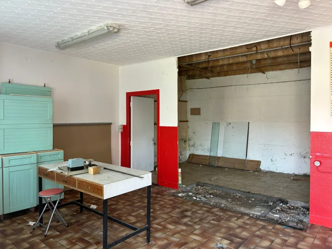 House for Renovation photo 3