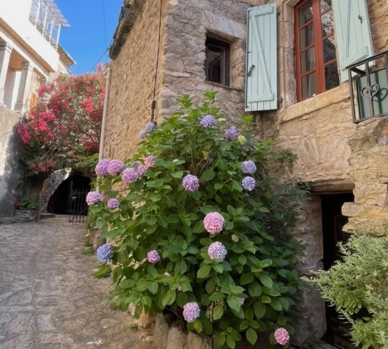Pretty 2 Bed Village House, Caussiniojouls, Herault