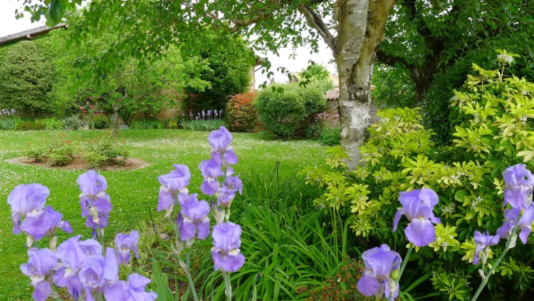 In a Greensetting, Beautiful Early 20th-Century House photo 5