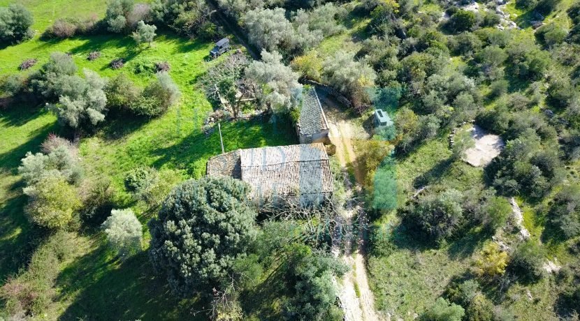 Property in Noto photo 4