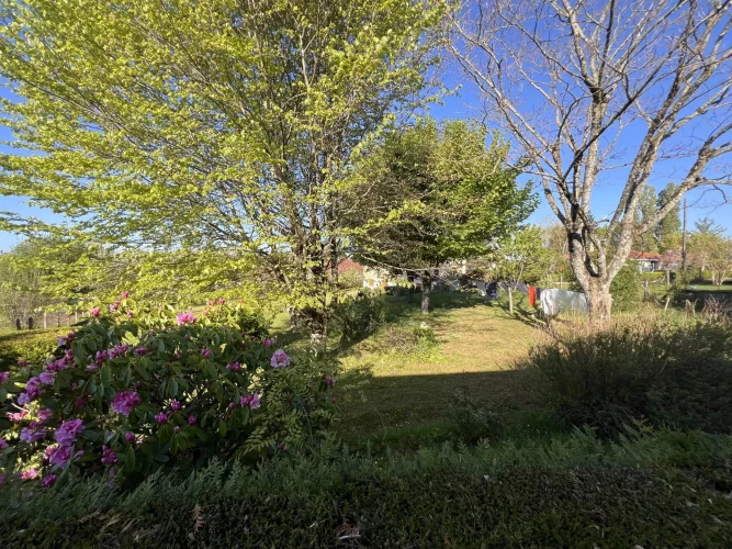 Single-Story House photo 4