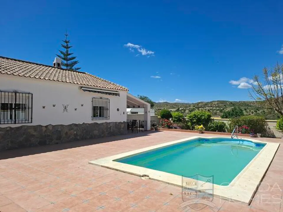 Calida Homes Property Consultancy photo 2
