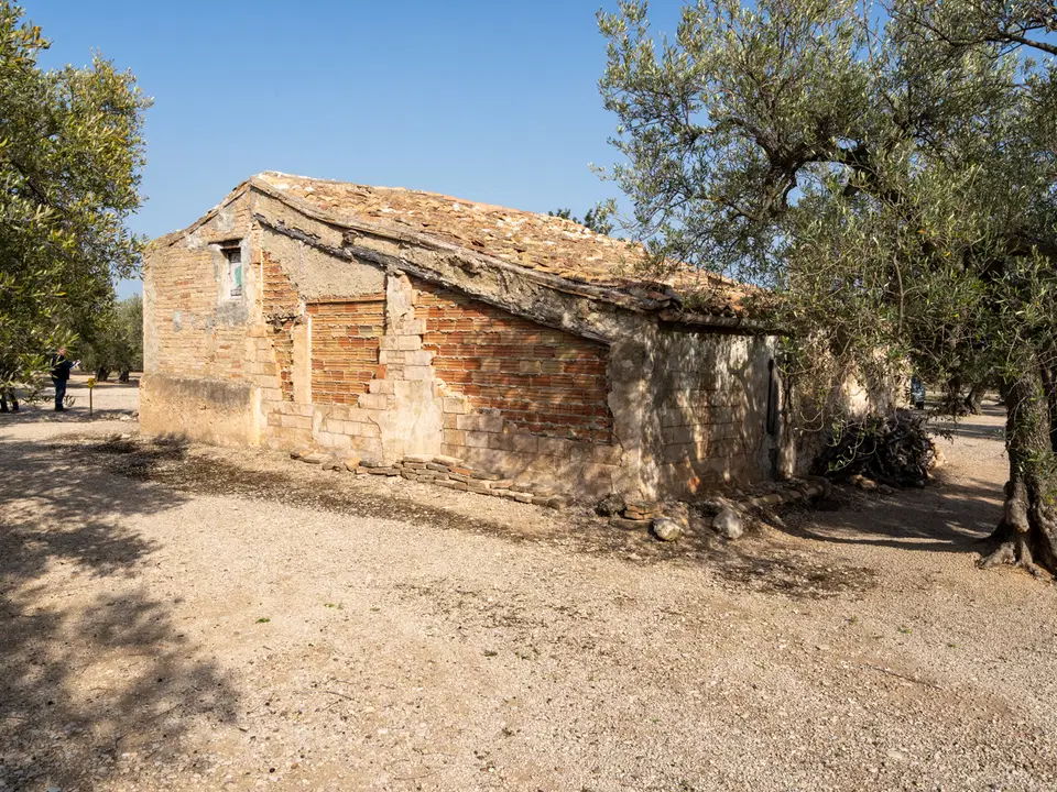 MAS CATALAN RURAL PROPERTIES S.L.U. photo 5