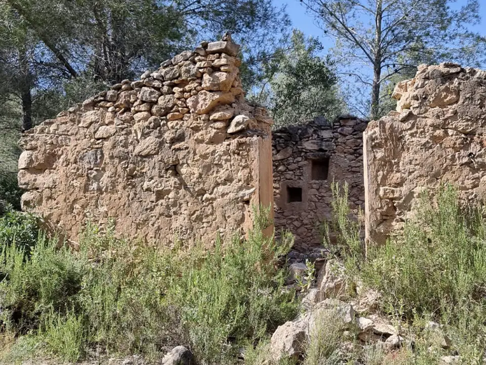 Catalancasas photo 3