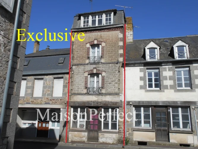 House to Restore/Renovate to it's Former Classic Elegance. C/H 4 + Bed French Town House. Courtyard. Garden. Easy P…