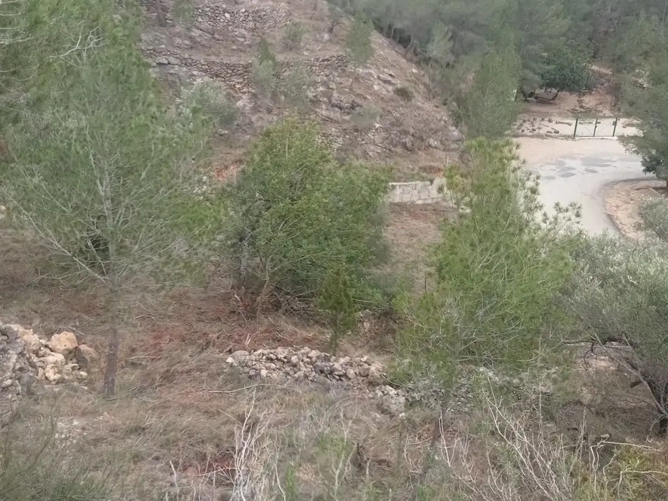 Catalancasas photo 3