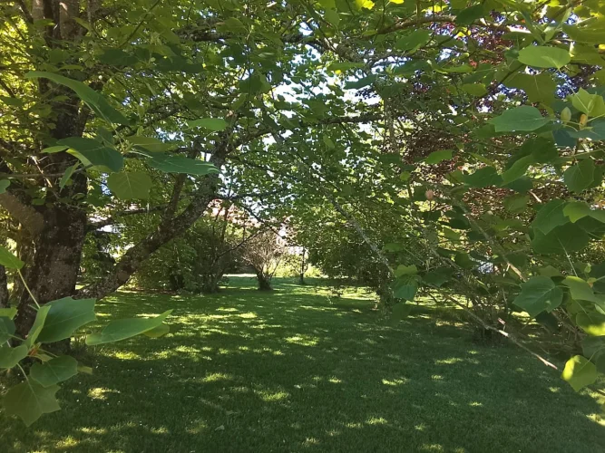 Haute-Vienne, Nr Mortemart, Village House, Gardens,Views photo 4