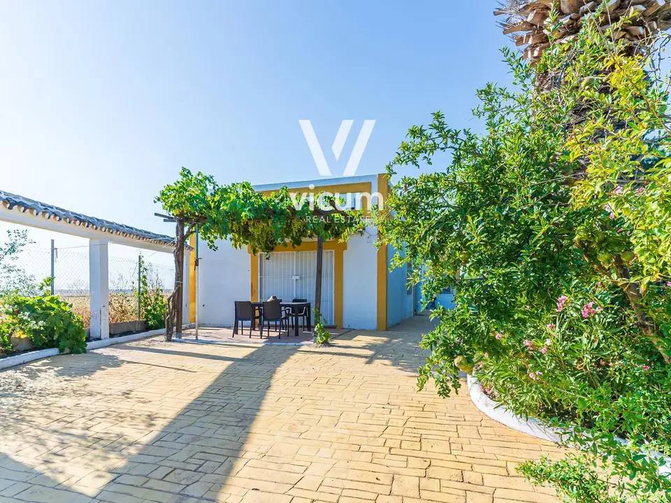 Villa in La Palma Del Condado, Huelva province photo 3