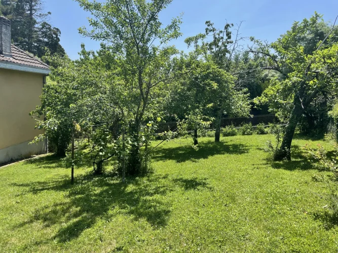 Large House Within Walking Distance of all Facilities and Schools photo 2
