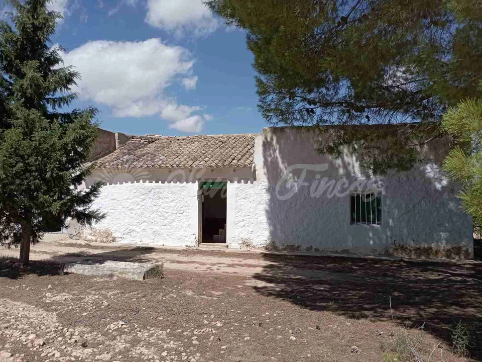Country house in Yecla, Murcia province photo 3