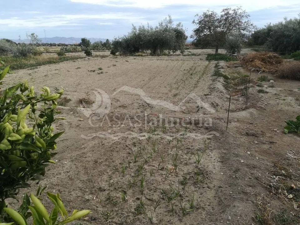 Casas Almeria photo 3