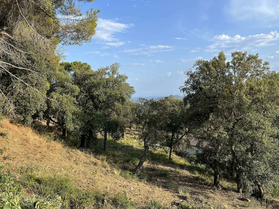 Costa Brava Fincas SL