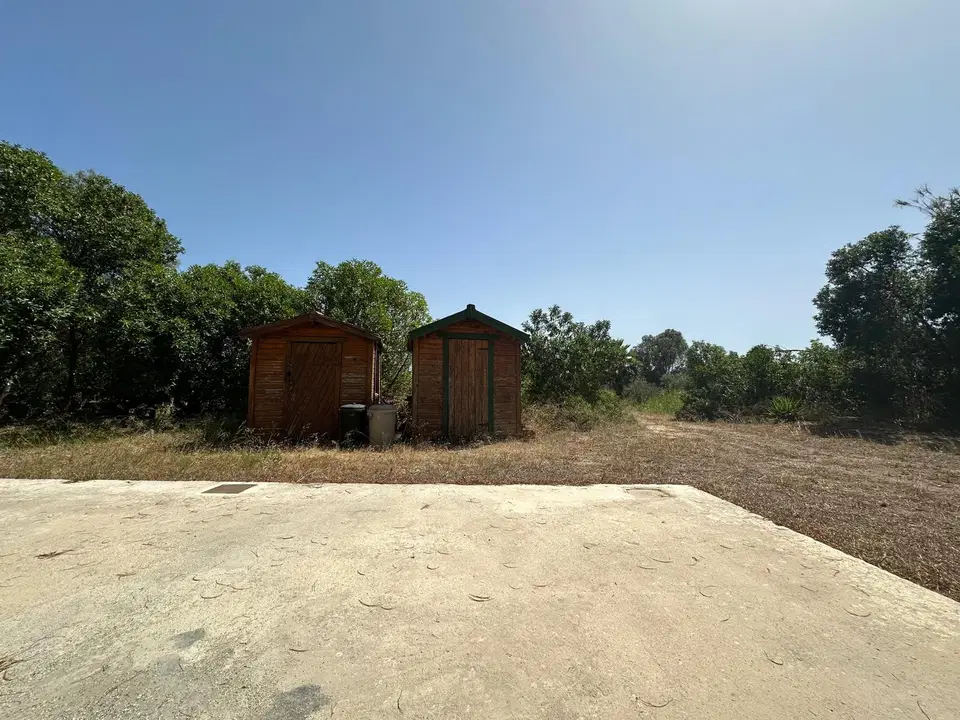 Smart Properties in Spain photo 2