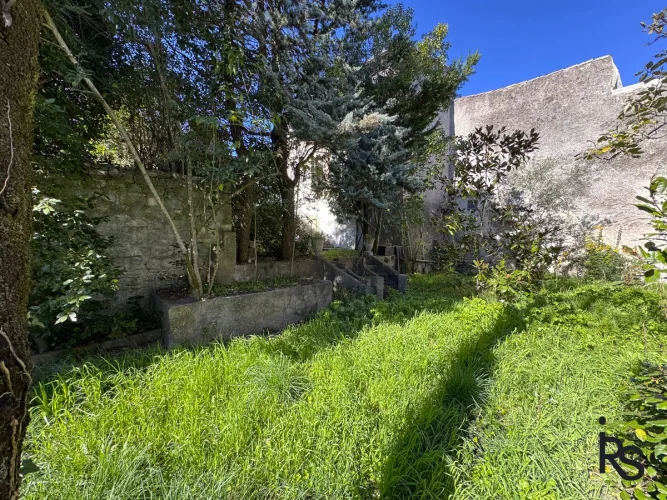 A Magnificent 260 m² Master's House with a Terrace and Adjacent Enclosed Garden photo 3