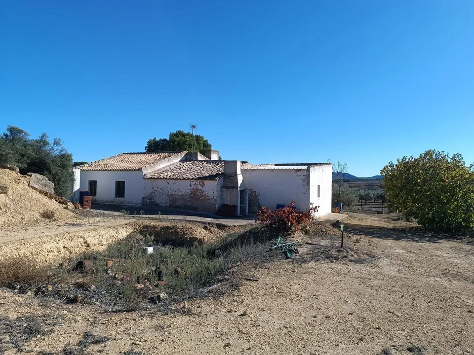 Stratus International Properties photo 2