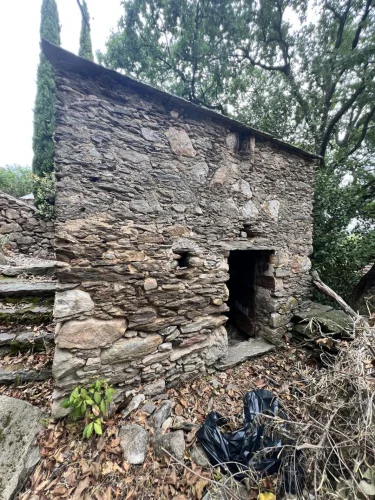Village House with Land photo 3