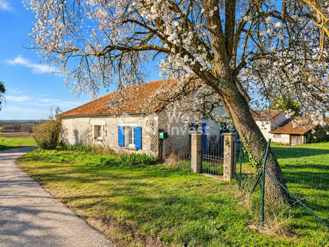 Country House + Second Property to Renovate – Peaceful Setting photo 5