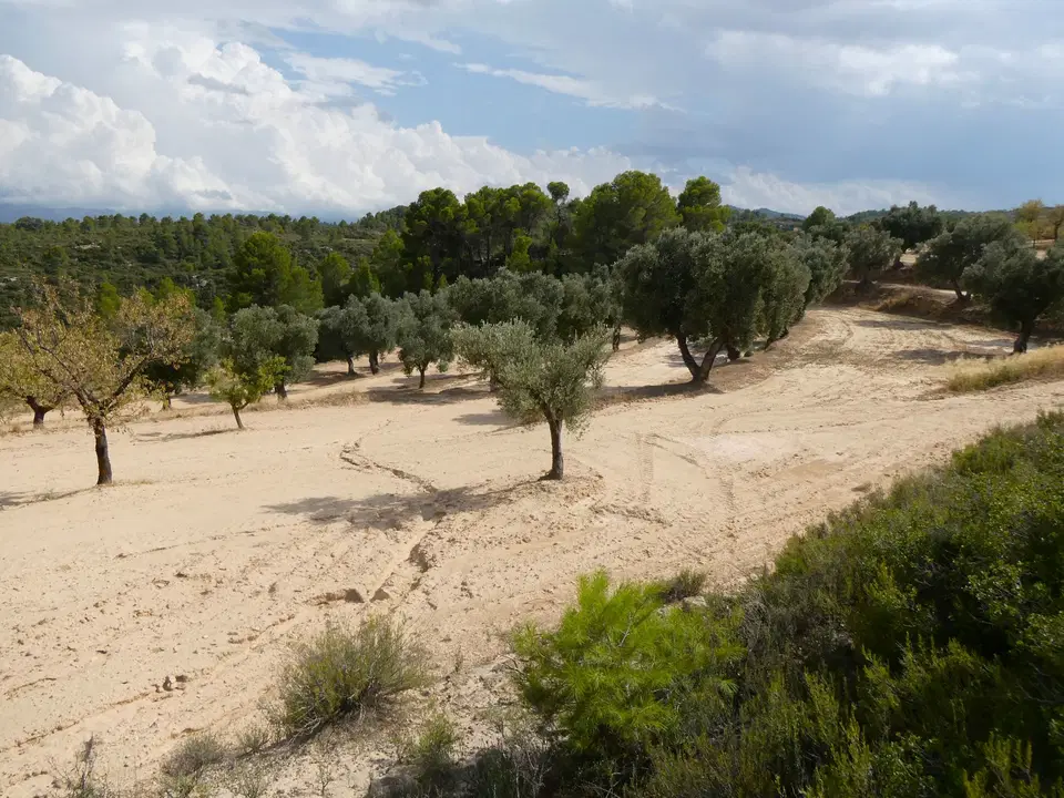 Finca in Calaceite, Teruel province photo 5