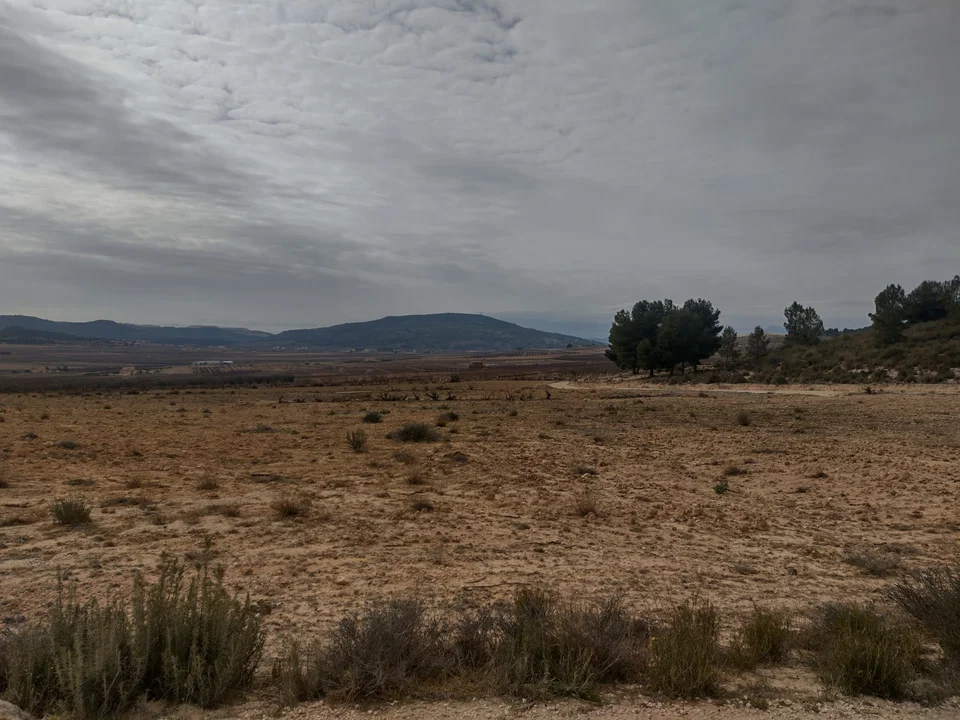Country Fincas Pinoso S.L. photo 3