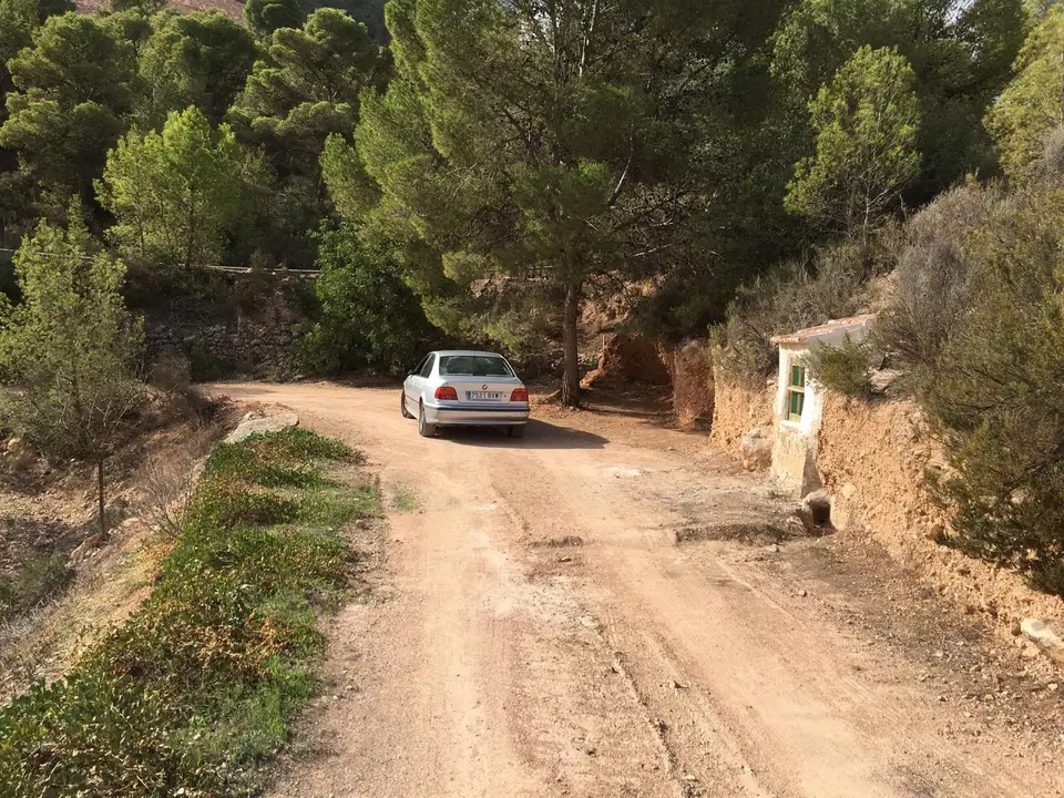 Alicante Dream Property  photo 3