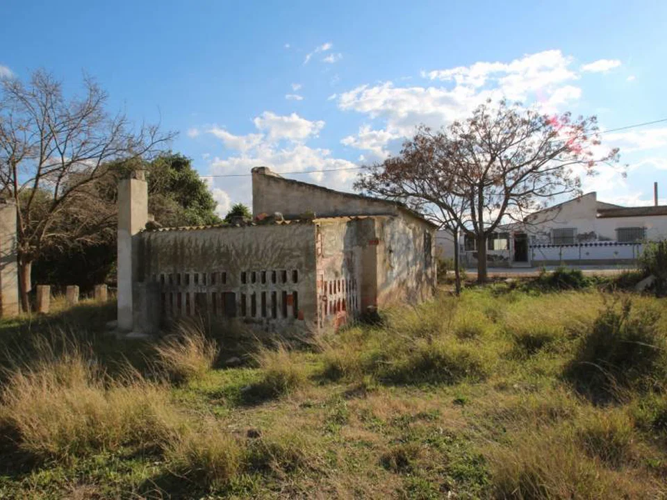 Country house in Elche, Alicante province photo 2