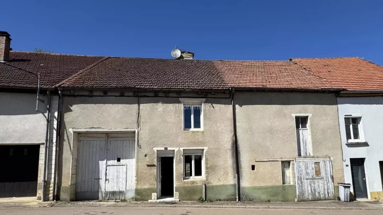 Character Home with Great Potential and Outbuildings – Romain-Sur-Meuse