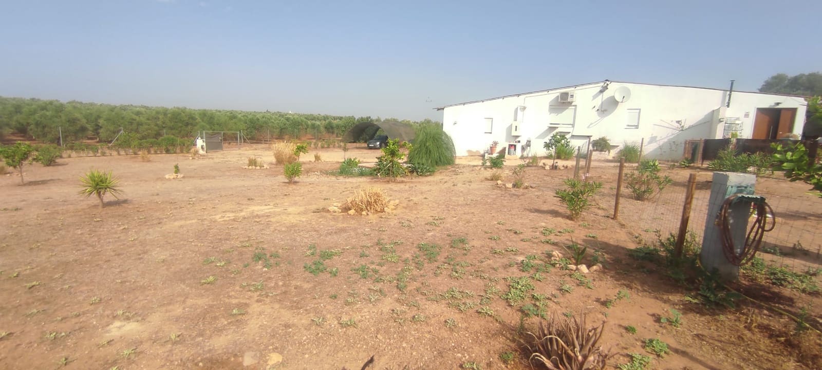 Finca/Country House for sale in Beas, Huelva