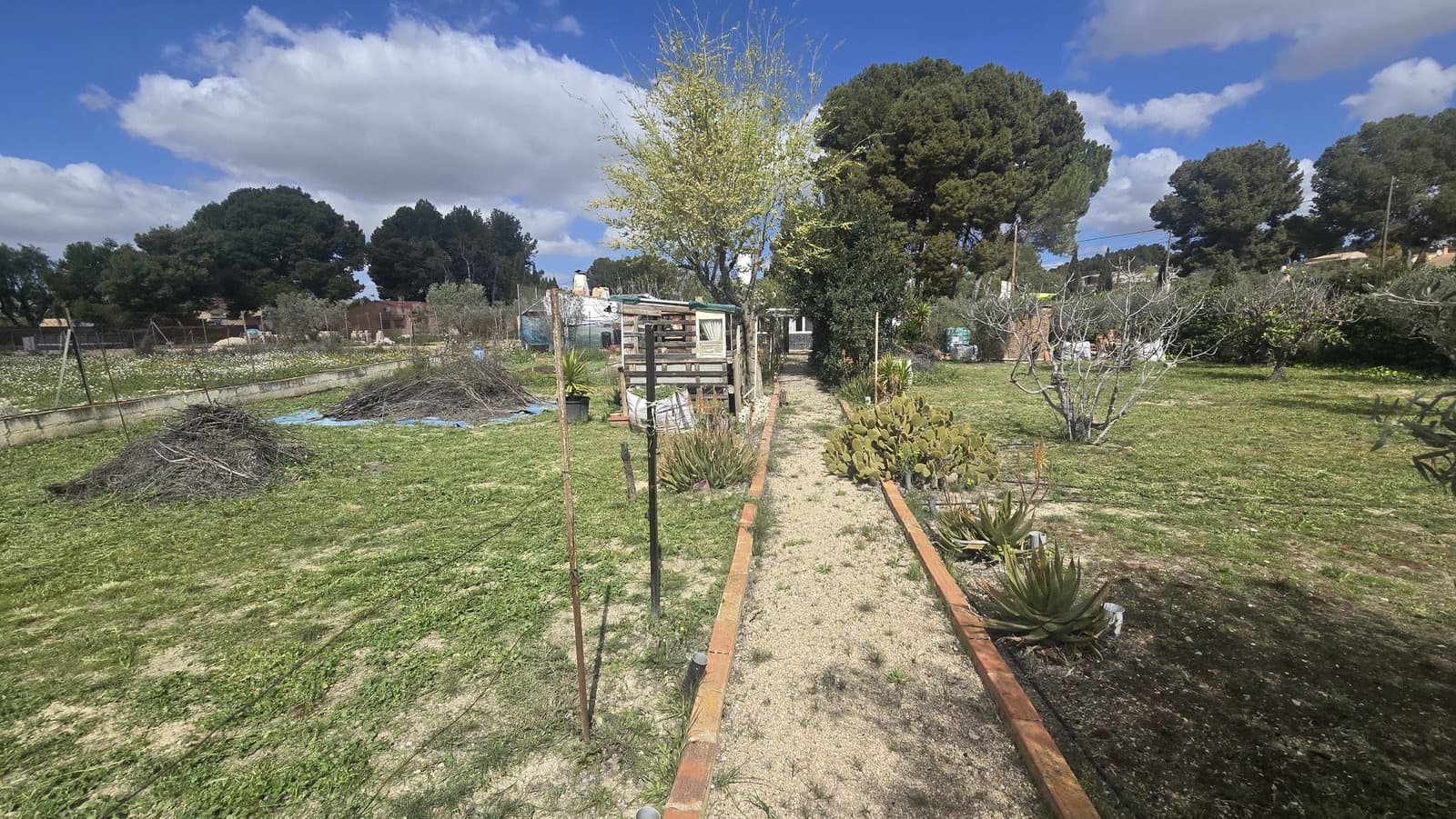 Finca/Country House for sale in Sax, Alicante photo 4